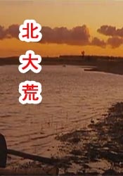 福利视频在线观看www.