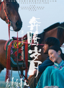免费h