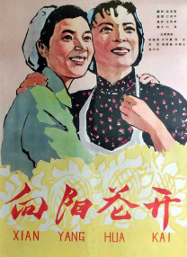 姐姐无理的要求